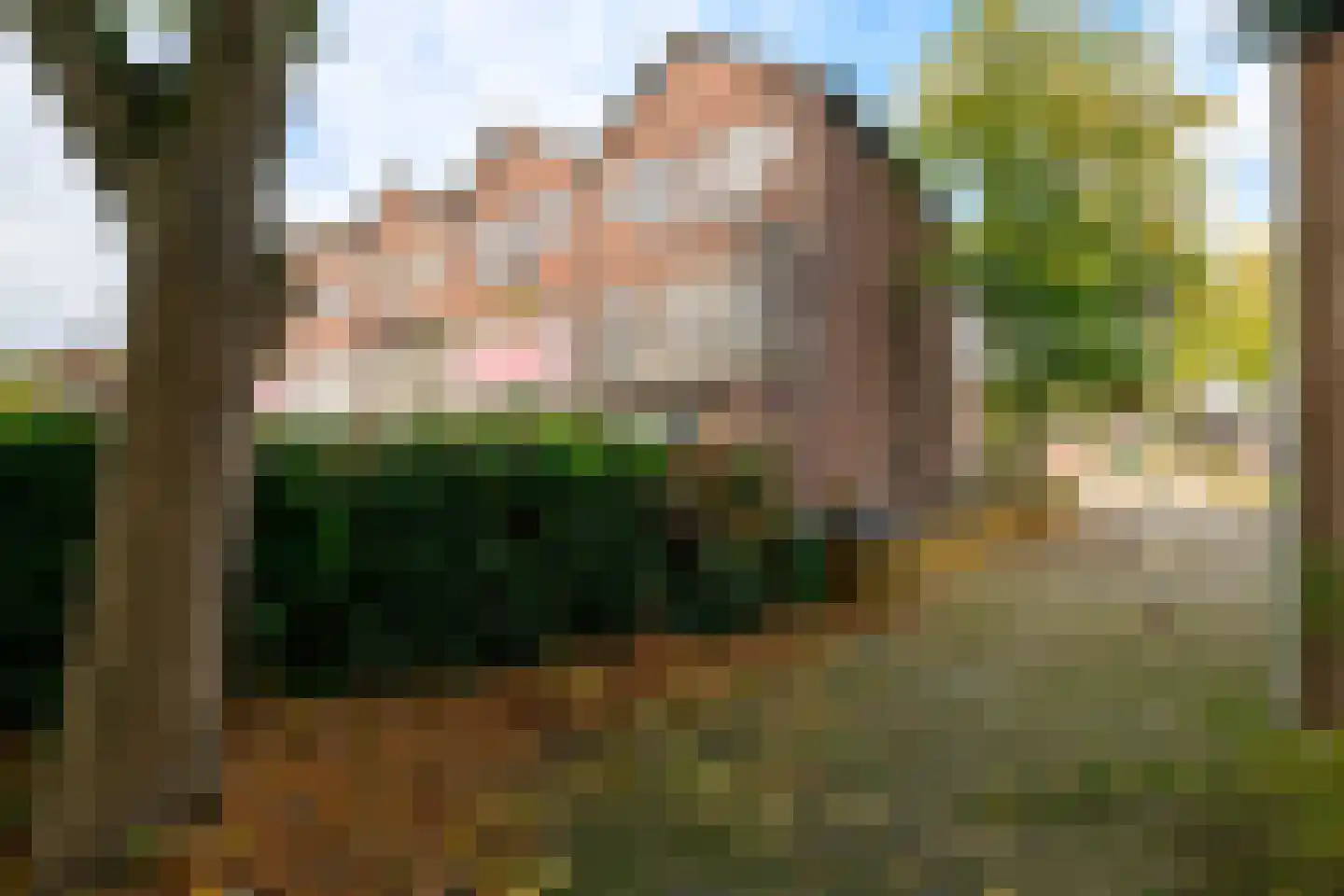 Gaardedreef 61 Zoetermeer thumbnail 33