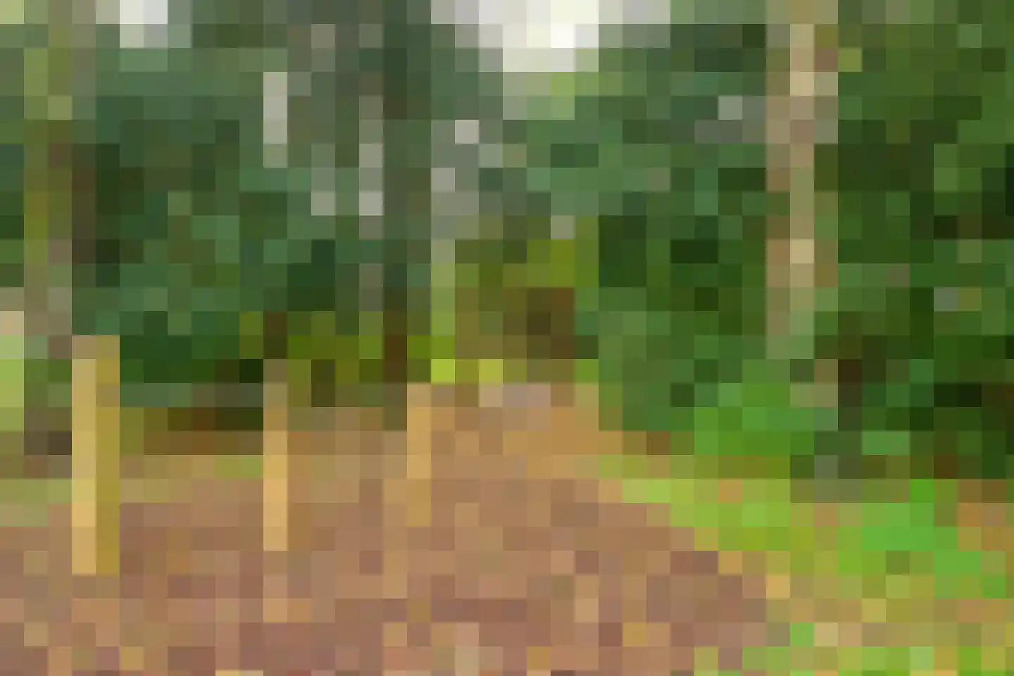 Gaardedreef 61 Zoetermeer thumbnail 34