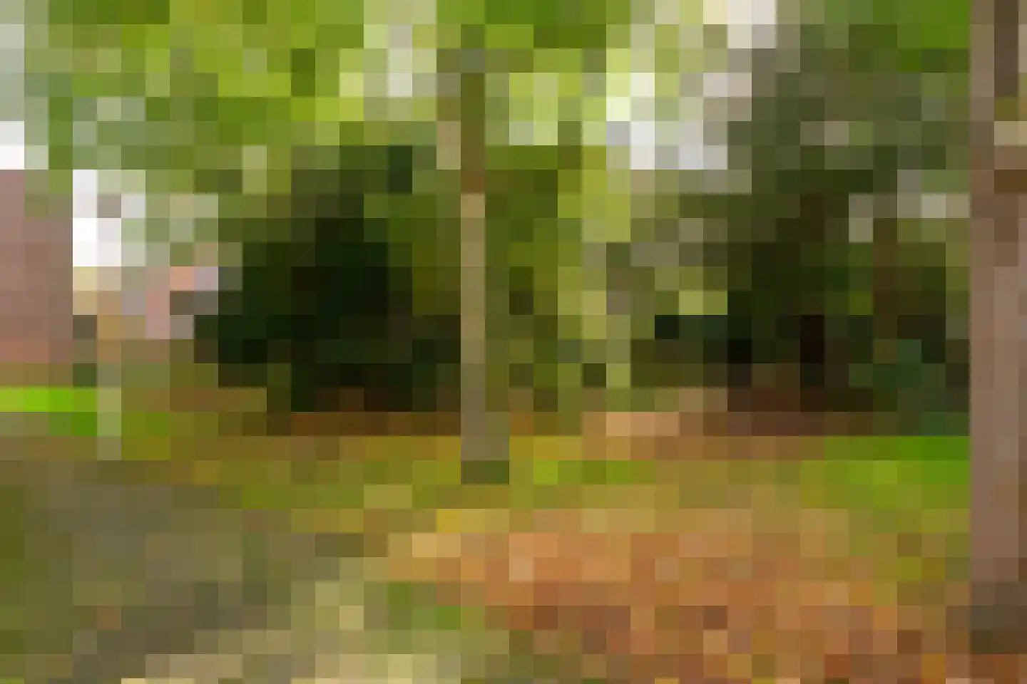 Gaardedreef 61 Zoetermeer thumbnail 35