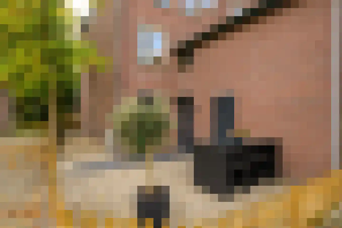 Gaardedreef 61 Zoetermeer thumbnail 4