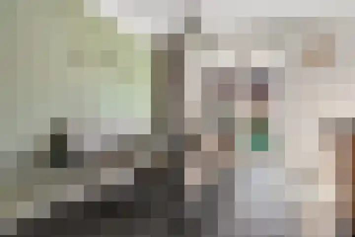 Gaarden 2 c Beltrum thumbnail 14