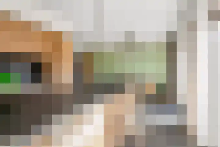 Gaarden 2 c Beltrum thumbnail 18