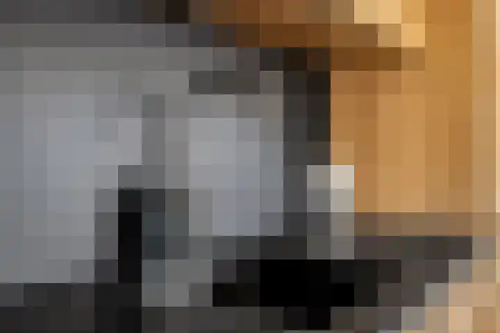 Gaarden 2 c Beltrum thumbnail 21