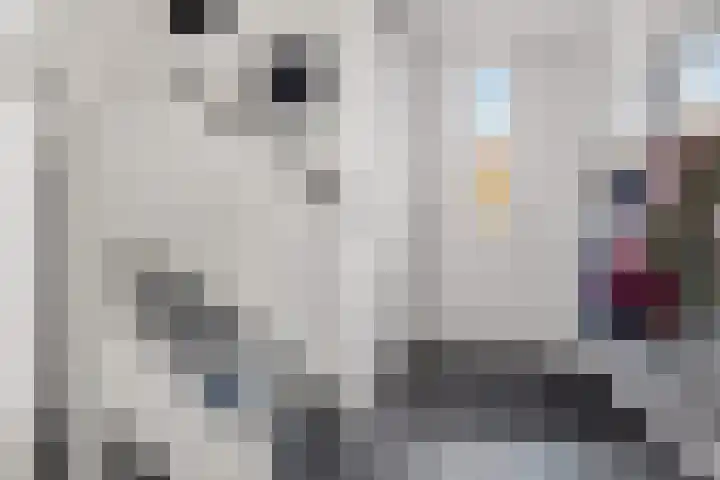 Gaarden 2 c Beltrum thumbnail 26