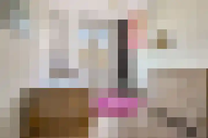Gaarden 2 c Beltrum thumbnail 34