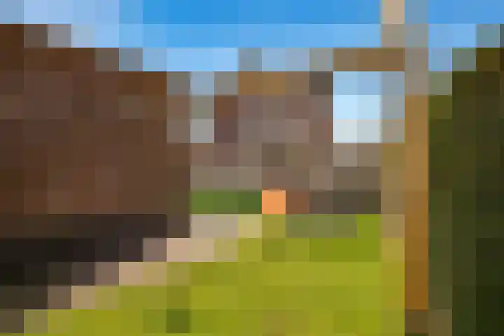 Gaarden 2 c Beltrum thumbnail 53