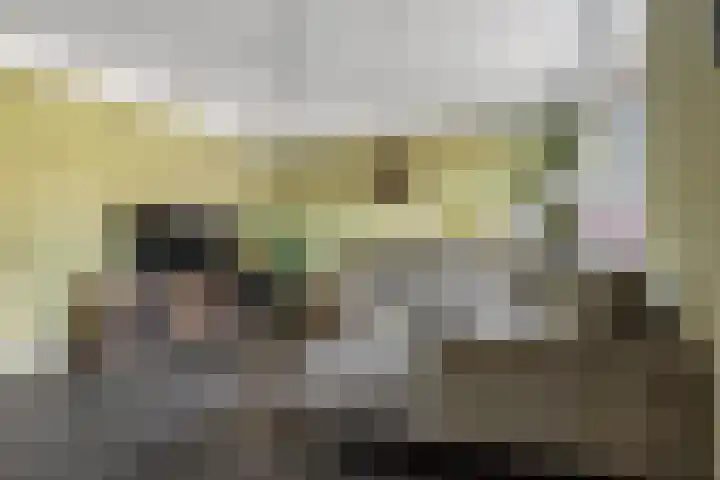 Gaarden 2 c Beltrum thumbnail 6