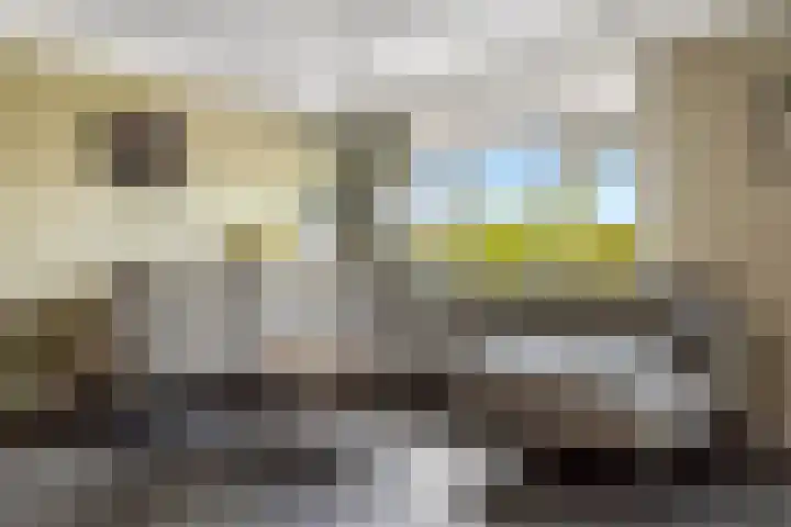 Gaarden 2 c Beltrum thumbnail 8