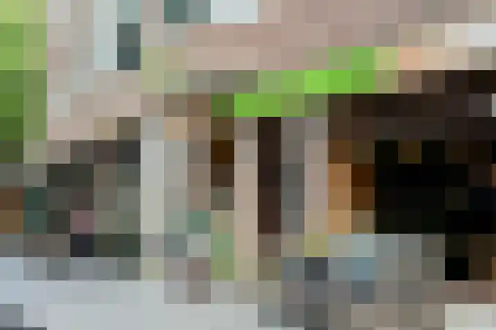 Gaaspstraat 23 2 Amsterdam thumbnail 39