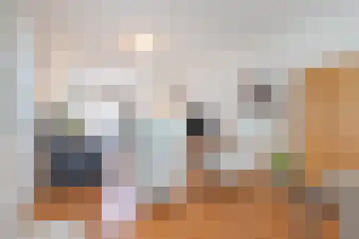 Gadéstraat 3 Geleen thumbnail 22