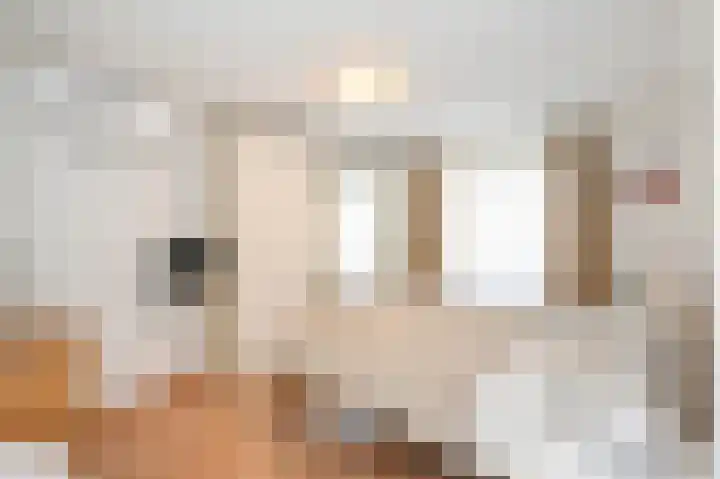Gadéstraat 3 Geleen thumbnail 36