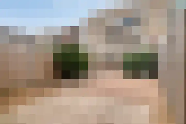 Gaesbeekstraat 77 Rotterdam thumbnail 13
