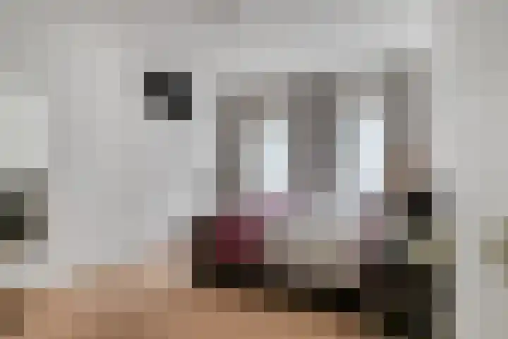 Gaesbeekstraat 77 Rotterdam thumbnail 23