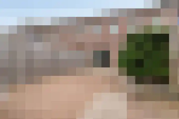 Gaesbeekstraat 77 Rotterdam thumbnail 4