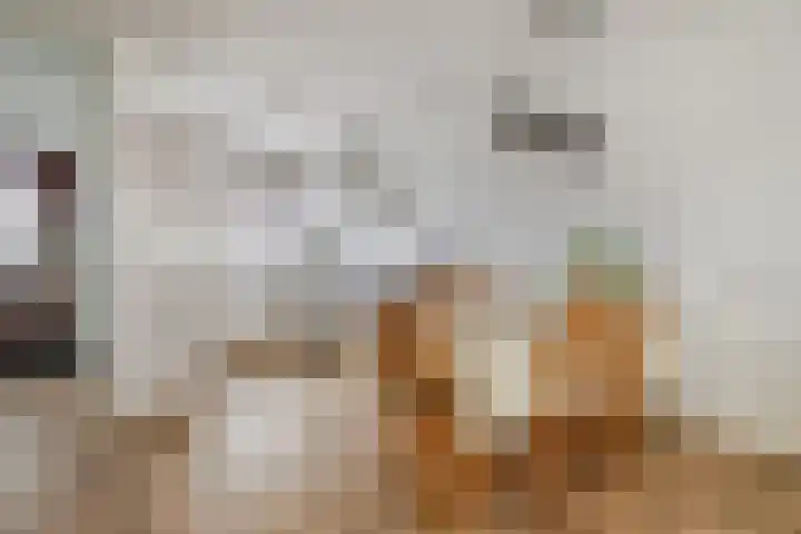 Gaesbeekstraat 77 Rotterdam thumbnail 9