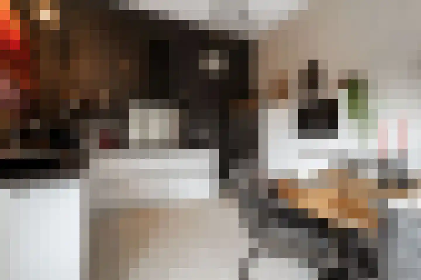 Gaffel 12 Almere thumbnail 13