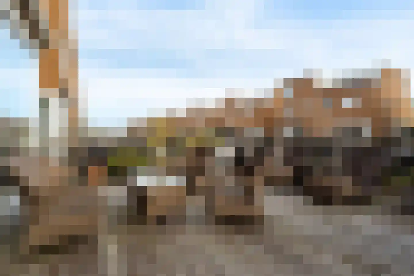 Gaffel 12 Almere thumbnail 16