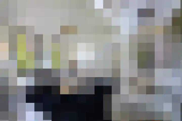 Gaffel 2 Weert thumbnail 14