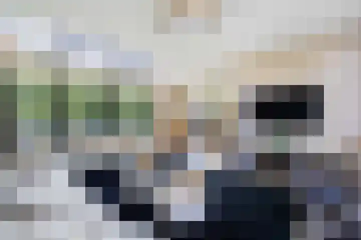 Gaffel 2 Weert thumbnail 16