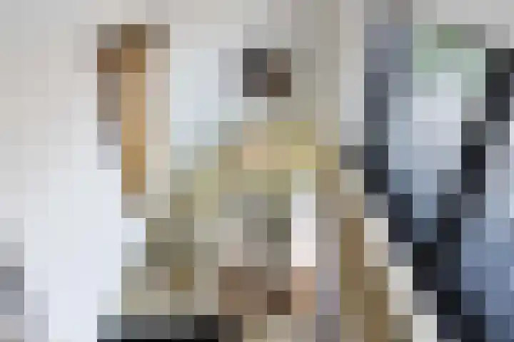 Gaffel 2 Weert thumbnail 18
