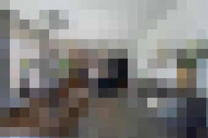 Gaffel 2 Weert thumbnail 19