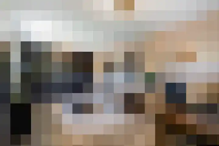 Gaffel 2 Weert thumbnail 25