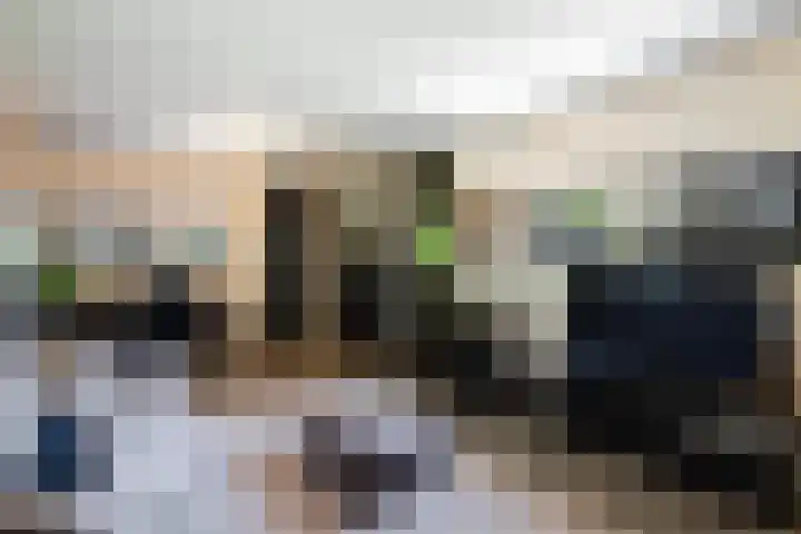 Gaffel 2 Weert thumbnail 26
