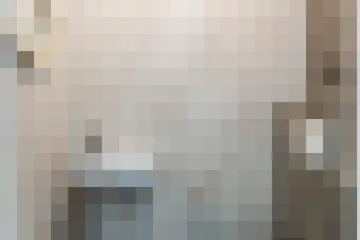 Gaffel 2 Weert thumbnail 27