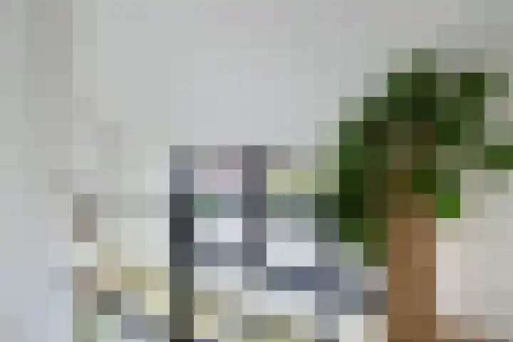 Gaffel 2 Weert thumbnail 30