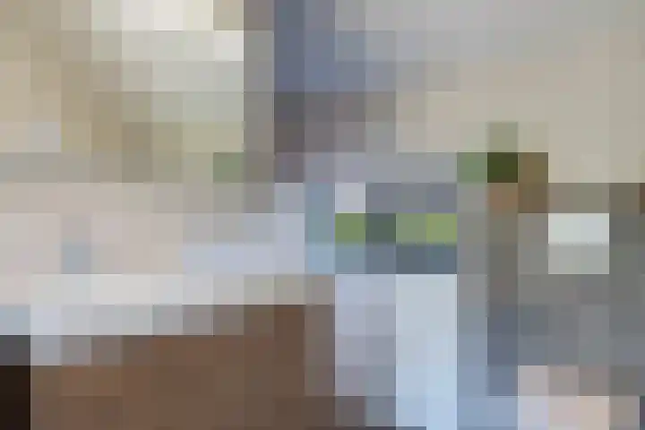 Gaffel 2 Weert thumbnail 36