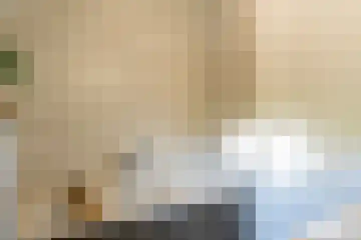 Gaffel 2 Weert thumbnail 37