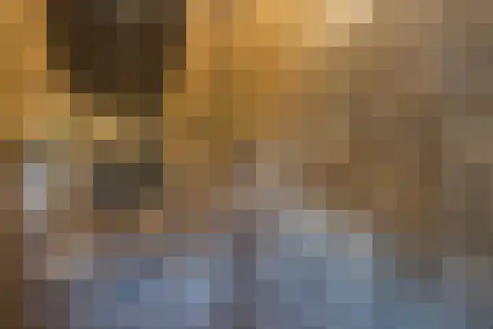 Gaffel 2 Weert thumbnail 38