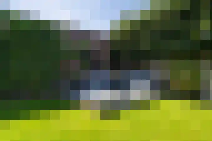 Gaffel 2 Weert thumbnail 42