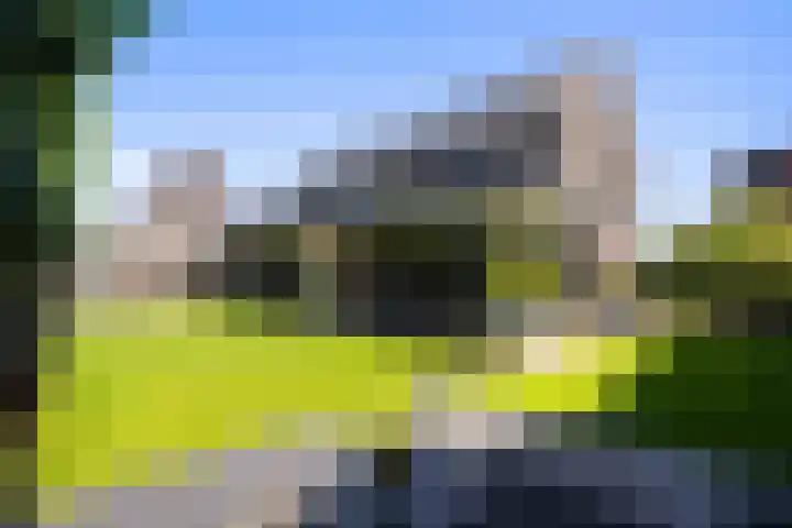 Gaffel 2 Weert thumbnail 43