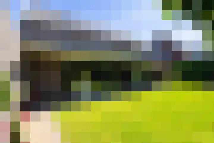 Gaffel 2 Weert thumbnail 45