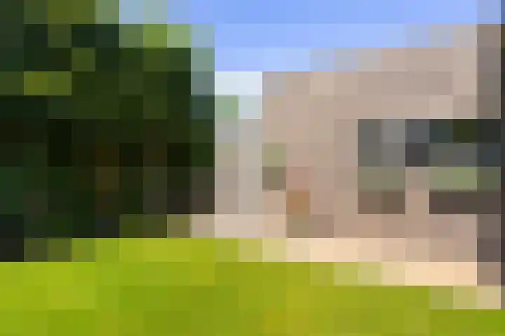 Gaffel 2 Weert thumbnail 46