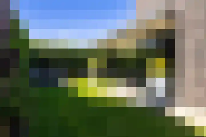 Gaffel 2 Weert thumbnail 47