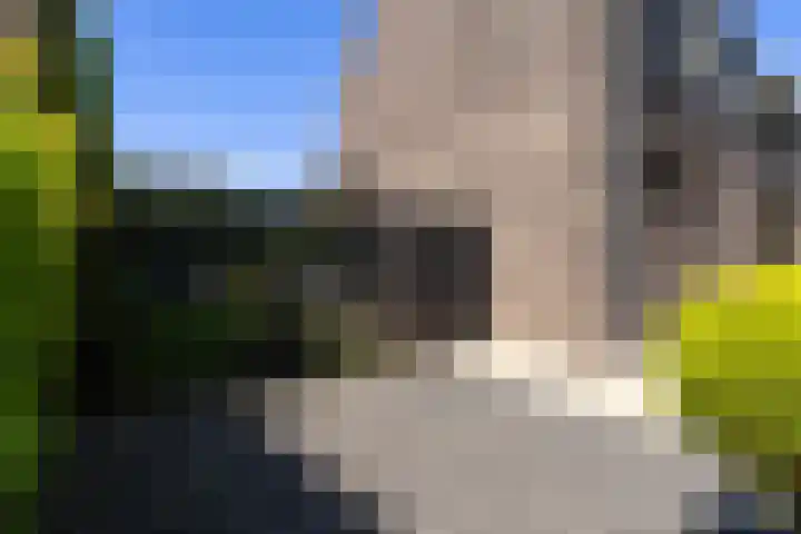 Gaffel 2 Weert thumbnail 49