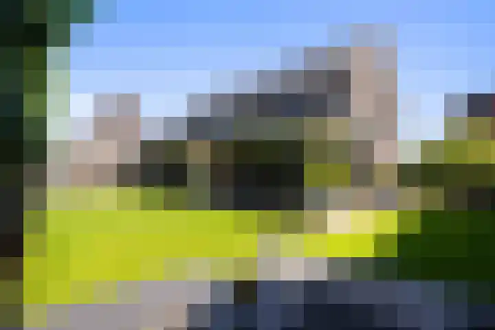 Gaffel 2 Weert thumbnail 5