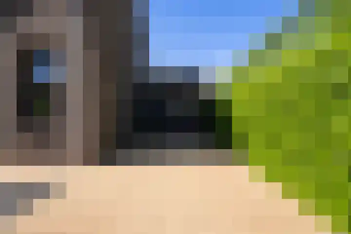 Gaffel 2 Weert thumbnail 50