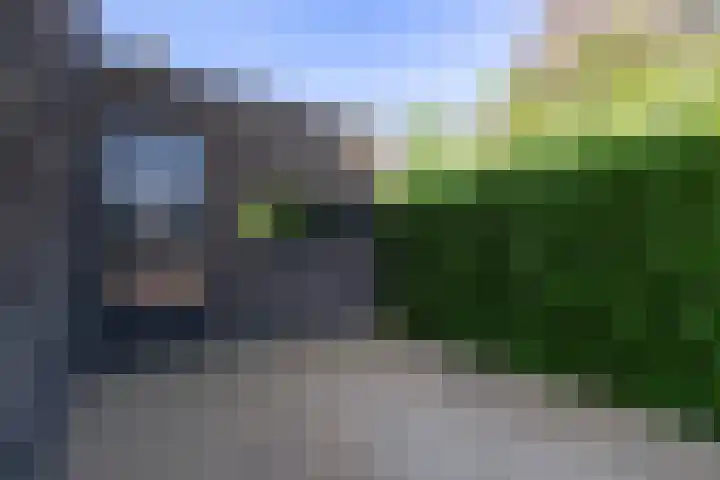 Gaffel 2 Weert thumbnail 51