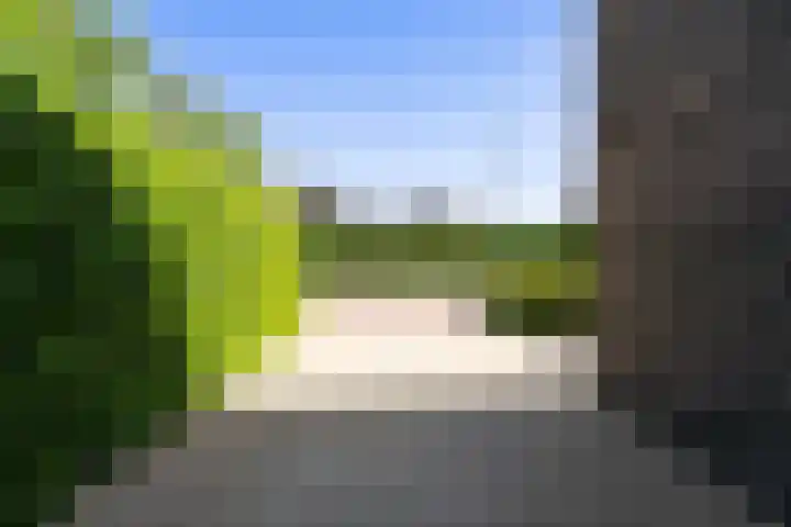 Gaffel 2 Weert thumbnail 52