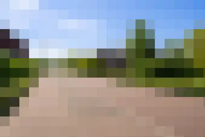 Gaffel 2 Weert thumbnail 53