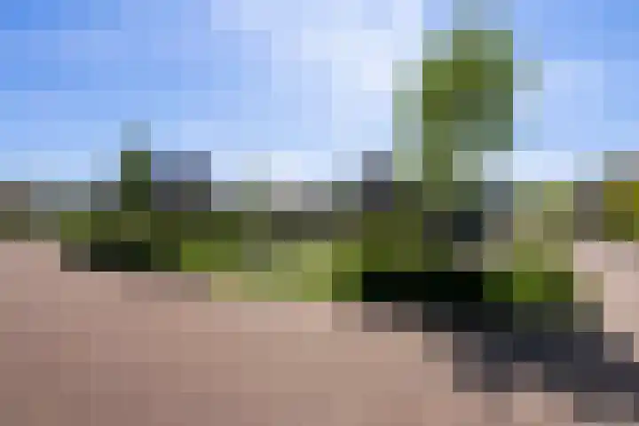 Gaffel 2 Weert thumbnail 54