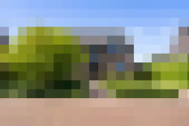 Gaffel 2 Weert thumbnail 6