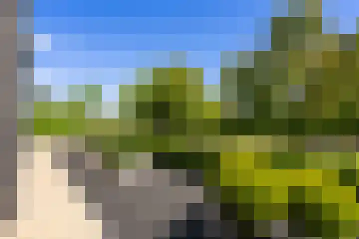 Gaffel 2 Weert thumbnail 8
