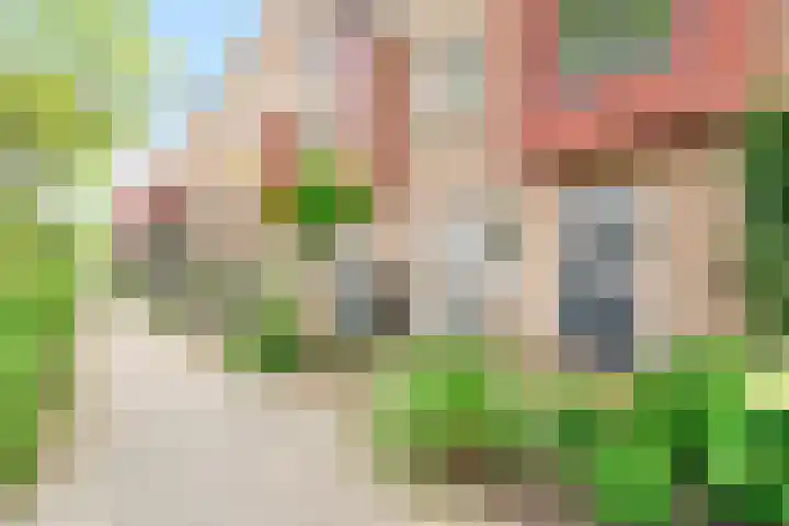 Gaffel 37 Nijkerk thumbnail 23