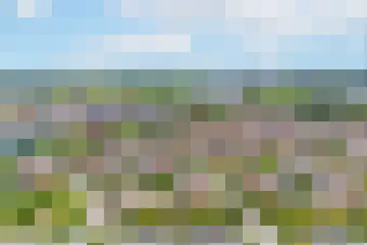Gaffel 37 Nijkerk thumbnail 26
