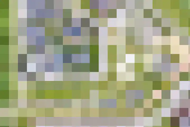Gaffel 37 Nijkerk thumbnail 28