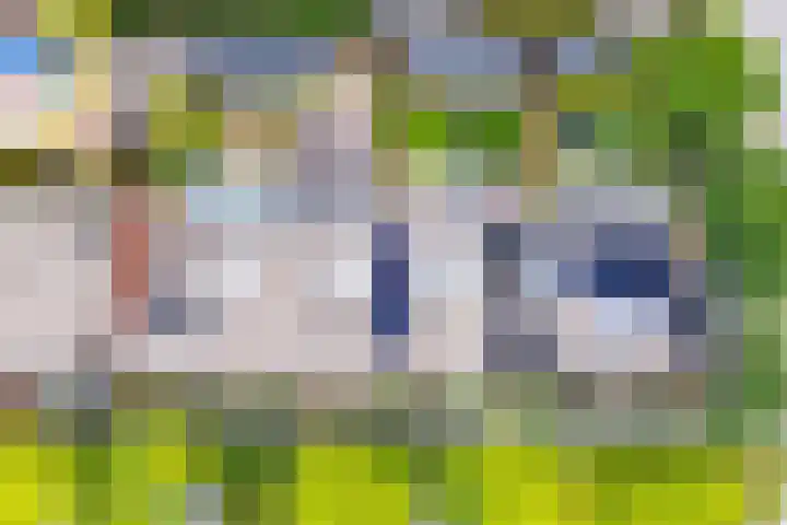 Gaffel 37 Nijkerk thumbnail 29